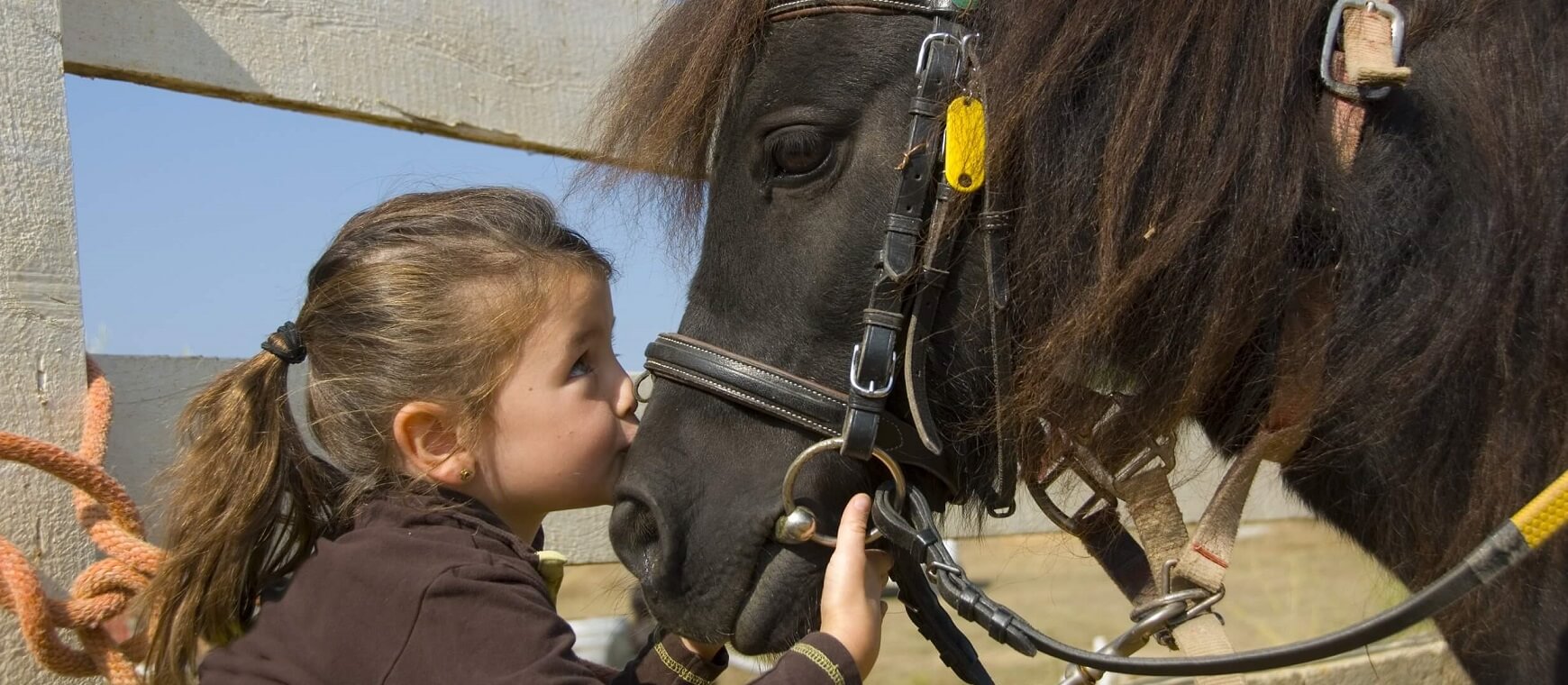 Παιδί και Άλογο IOVOP